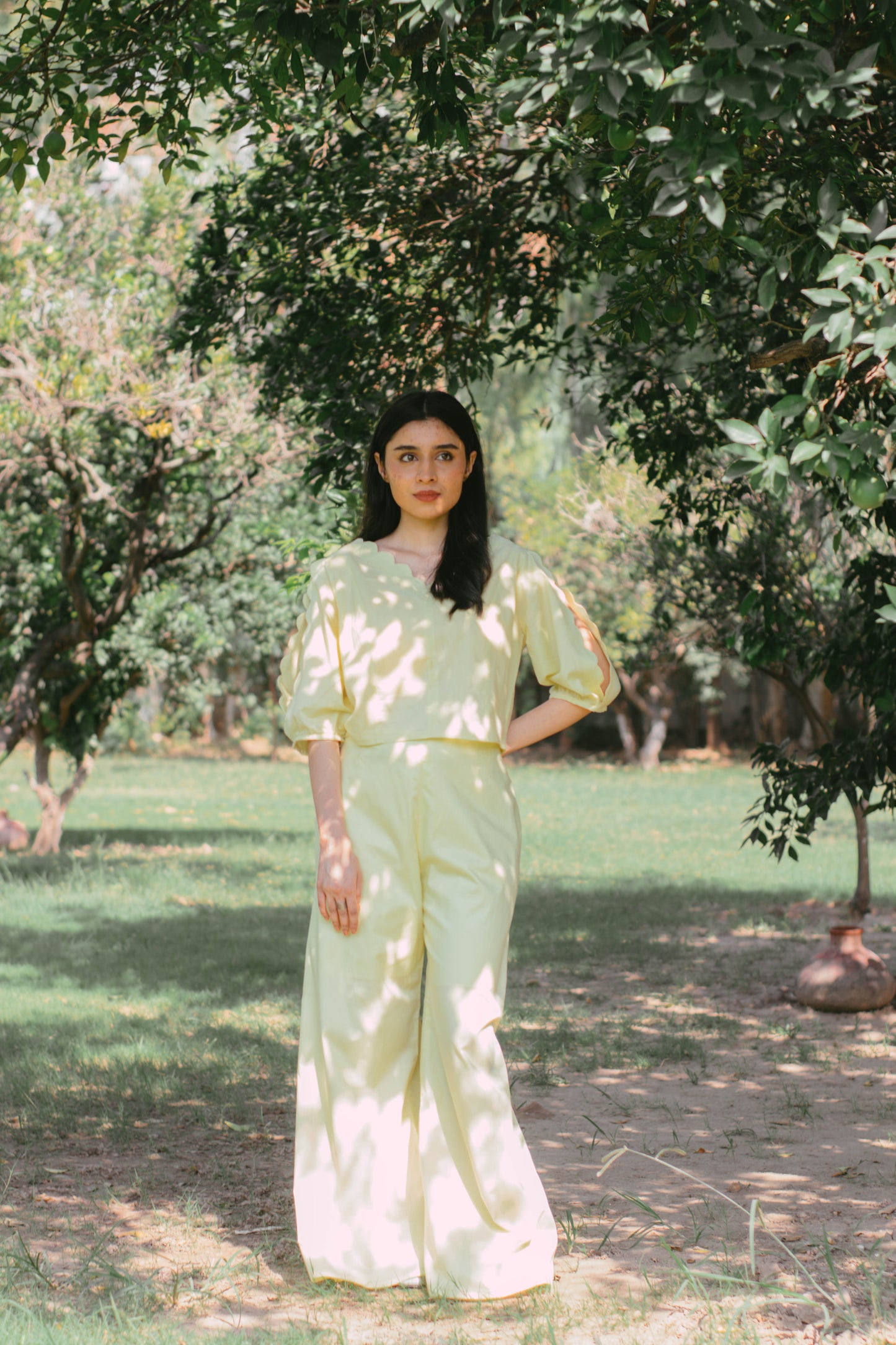 Honey glow Co-ord Set